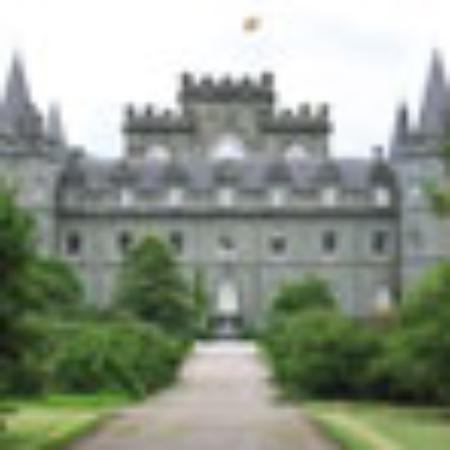 Mr. Shin's Pig's Feet