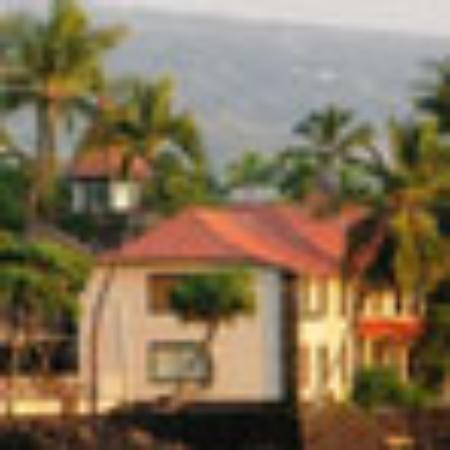 Dongrae King Pork Rice Soup